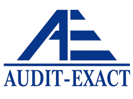 Audit Exact